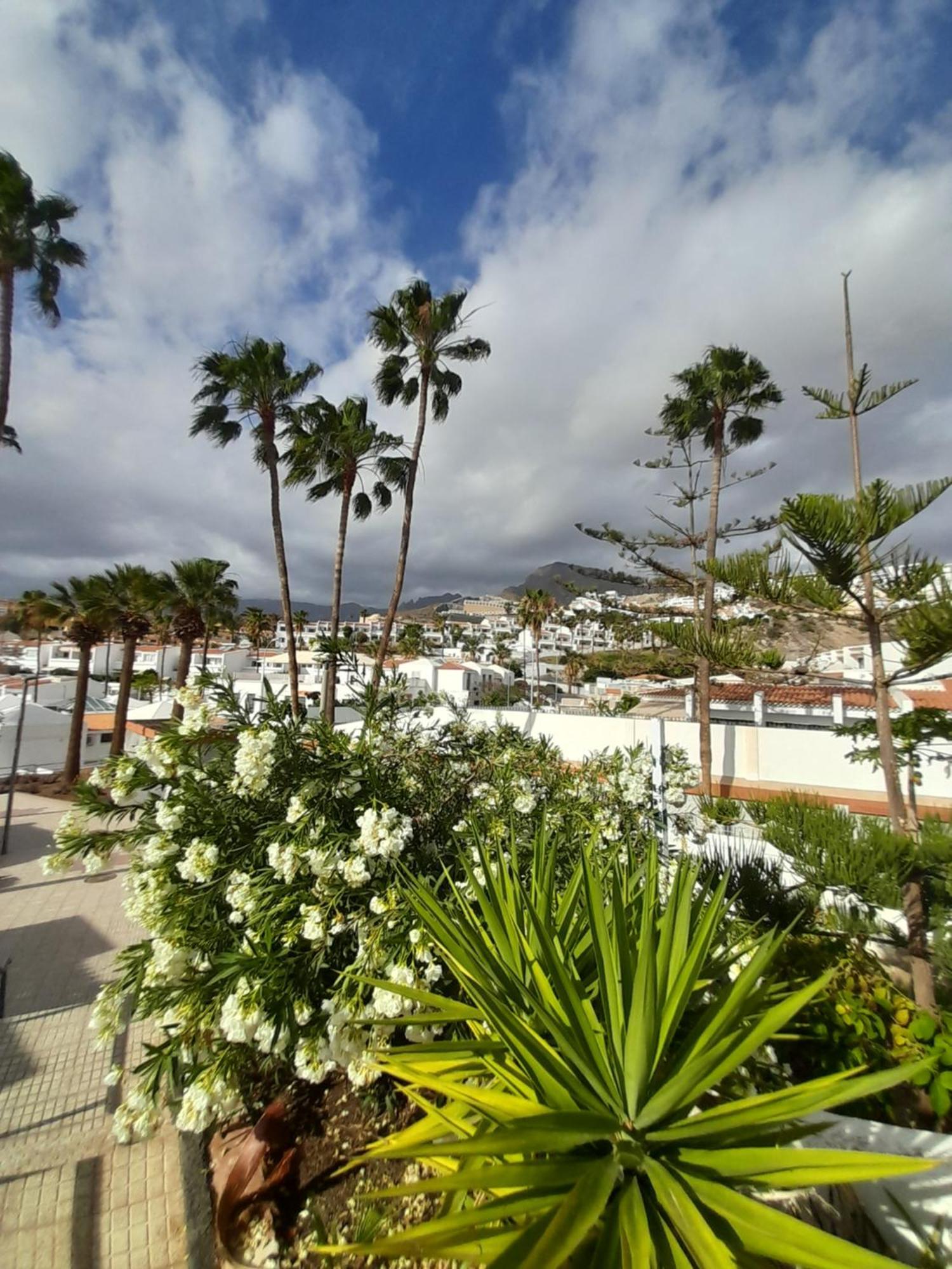 Apartments Island Village Heights Costa Adeje  Eksteriør billede